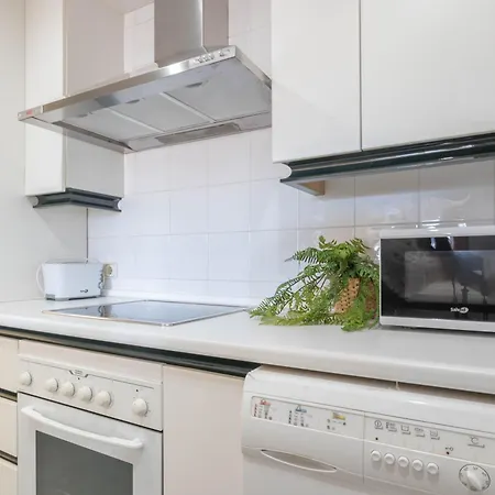Marina Banus L Apartment
